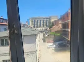 LioNa Center Apartment