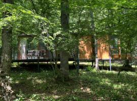 Nina's winery forest house in Kiketi, vila v destinaci Tbilisi City