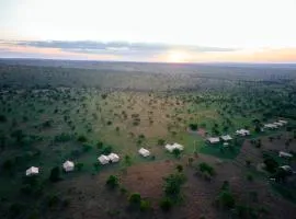 Pamoja Migration Camp