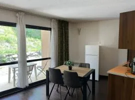 Studio confortable à Jausiers avec terrasse et accès piscine, idéal pour 4 personnes - FR-1-165B-56