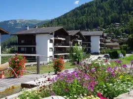 Résidence Arnica 3 pièces