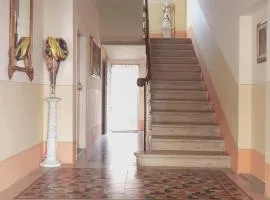 Suite900 Arezzo