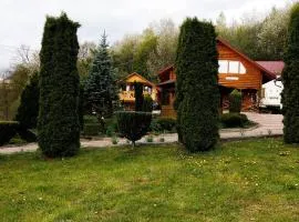 Карпатська Модрина