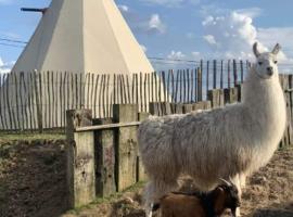 Le tipi d'Adri, місце для глемпінгу у місті Gesves