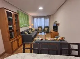 Arriondas Toyos Iroko