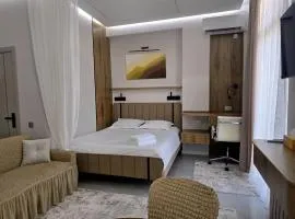 Park Apartment 5