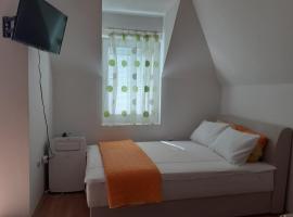 Vila Rose, hotel v destinaci Soko Banja