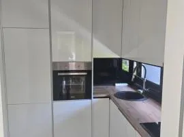 Lux apartment