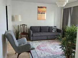 Spacious 2BR Apartment near Olavinlinna Castle
