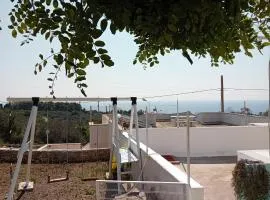 Villa Biagio 1945 - doppio terrazzo panoramico vista mare immersa nella natura con parco giochi