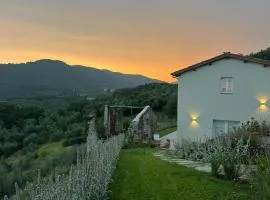 Il colle