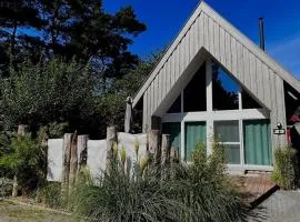 Holiday home in Zingst with swimming pool