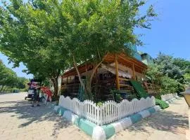 Kuşadası Starfish