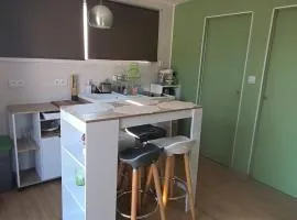 Tiny house neuve, confortable et parking gratuit