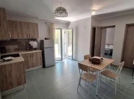 Spiros House
