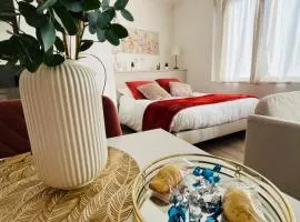 Le boudoir Béthunois - Appart hôtel centre - all confort