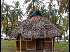 Cabins on San Blas Island Icodub