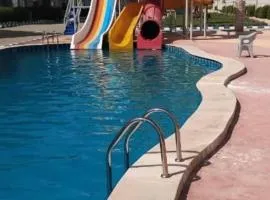 تاهيتي باي الجراوله