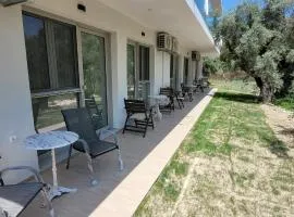 Vasiliki Apts