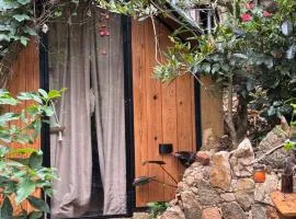 Wild Heart Glamping