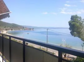 TOP House