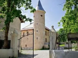 Chateau du Terrail