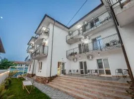 Vila Amir Vama Veche