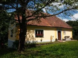 Počitniška hiša pod RAJHOVKO