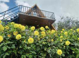 Dreamy Wonders Resorts, camping de lujo en Kodaikanal
