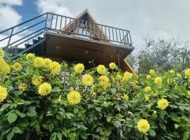 Dreamy Wonders Resorts