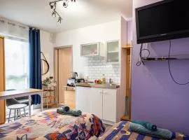 Cozy compact studio France