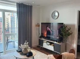 Dynamic Luxury Apartment