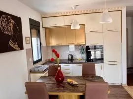 Lovely Modern LUX flat near to the center