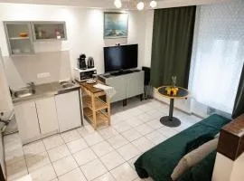 Mega COOL Flat France Suisse