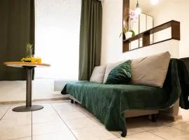 Mega COOL Flat France Suisse