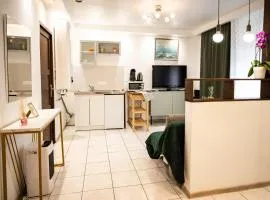 Mega COOL Flat France Suisse