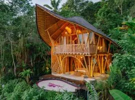 Jiva Bali - Green Dream