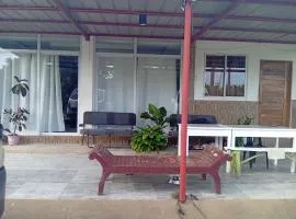 NELU GUEST HOUSE