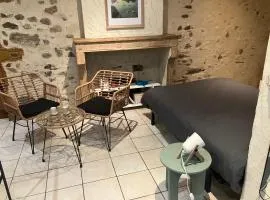 Studio Vienne centre historique