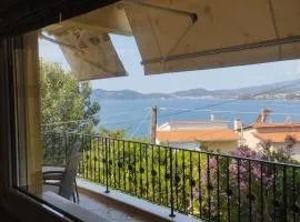 Palio Luxury Apartment