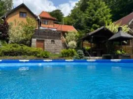 Villa Garden Balvanyos