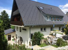 Forsters Schwarzwald Pension, hotel v destinaci Feldberg