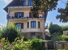 VineSinn