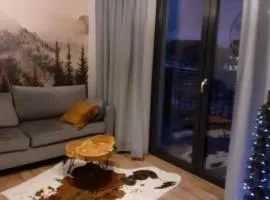 Apartament Ruczaj