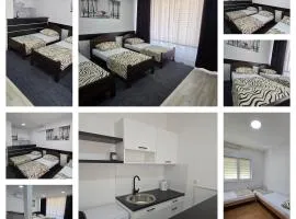 Champion APARTMAN Potoci M17