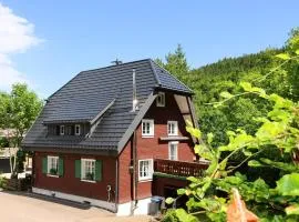 Schwarzwaldhaus St Blasien, Direkt Am Bach