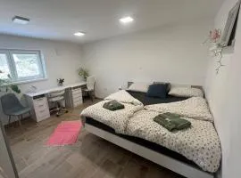 Cozy apartment with free parking