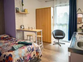 Cozy compact studio France