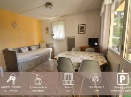 Studio Mouflon RDC balcon plein SUD garage FONT-ROMEU