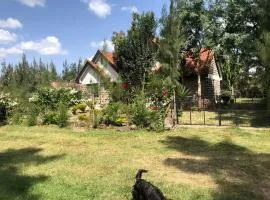 Tali's Cottage